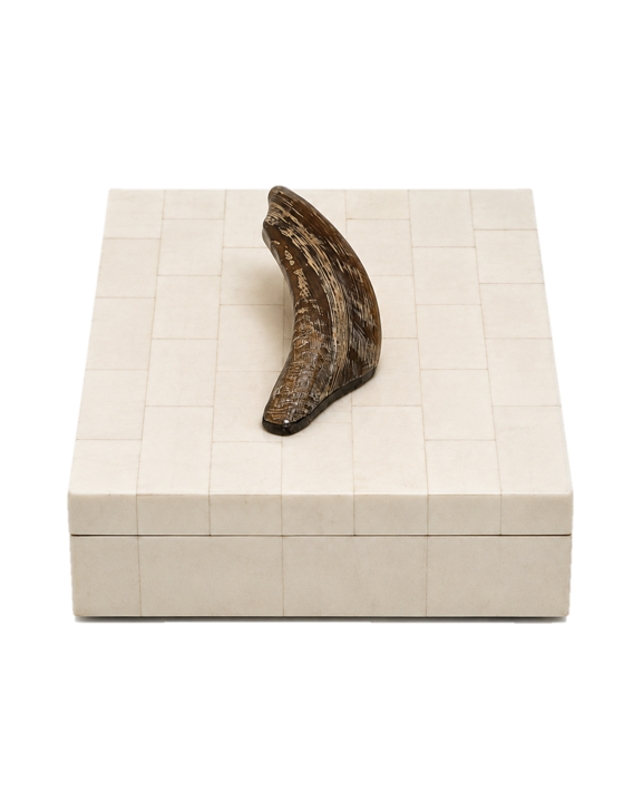 Asili Bone Box with Horn Medium