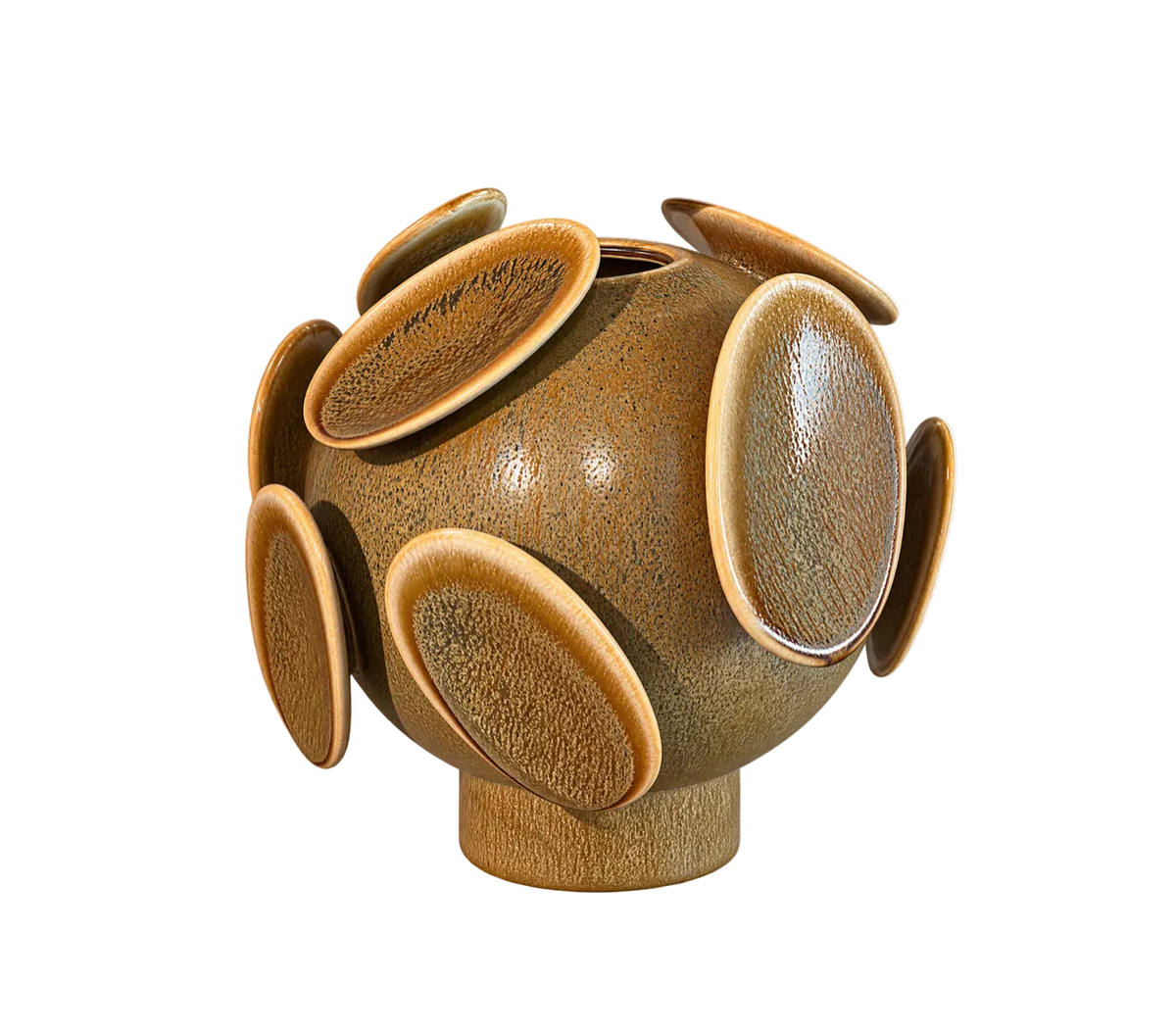 Orbita