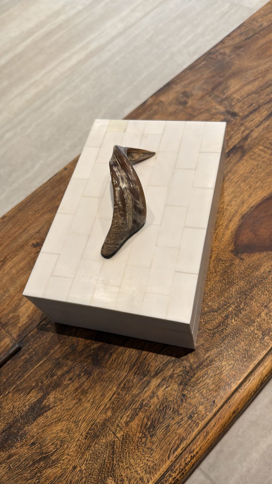 Asili Bone Box with Horn Medium
