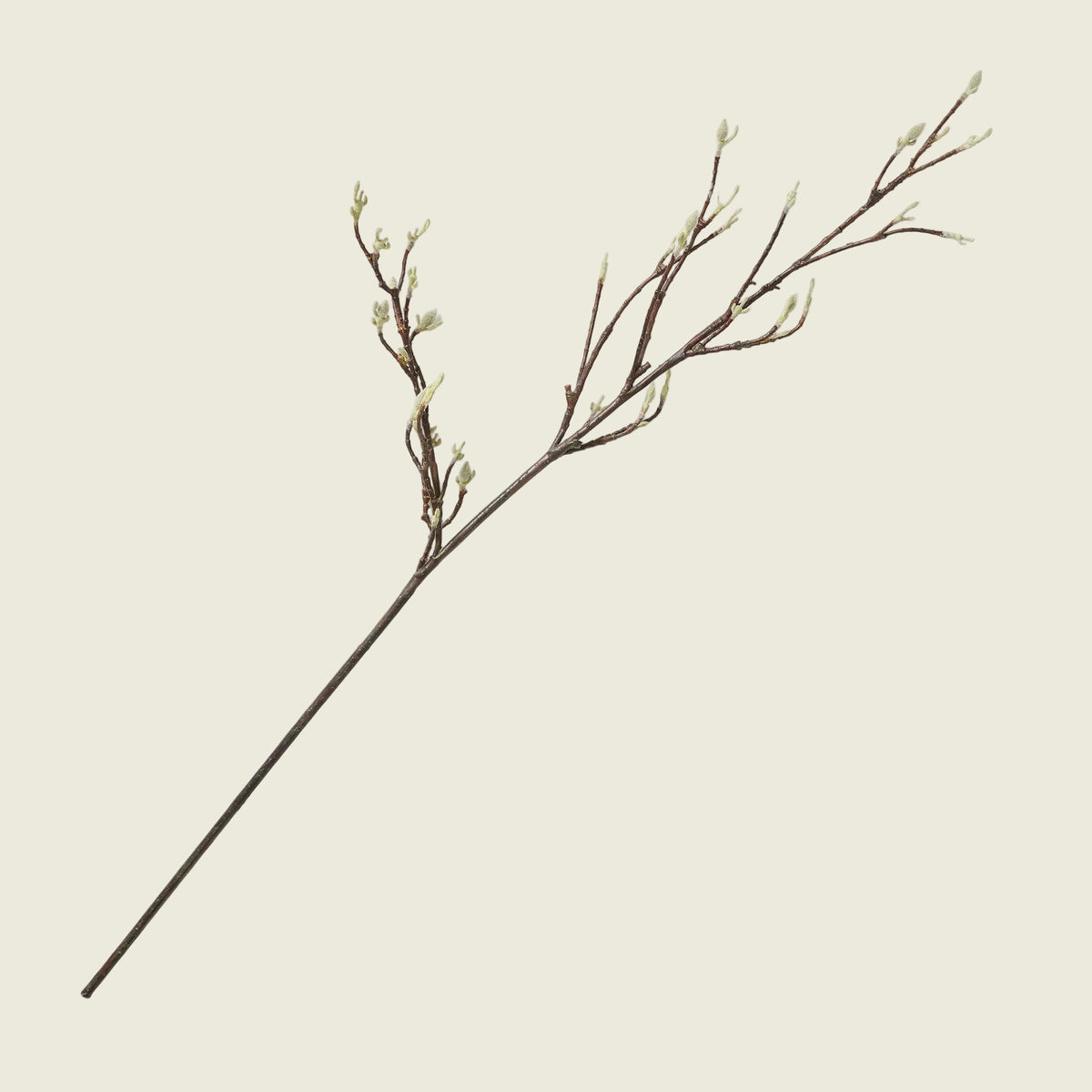 Toffee Pine Branches