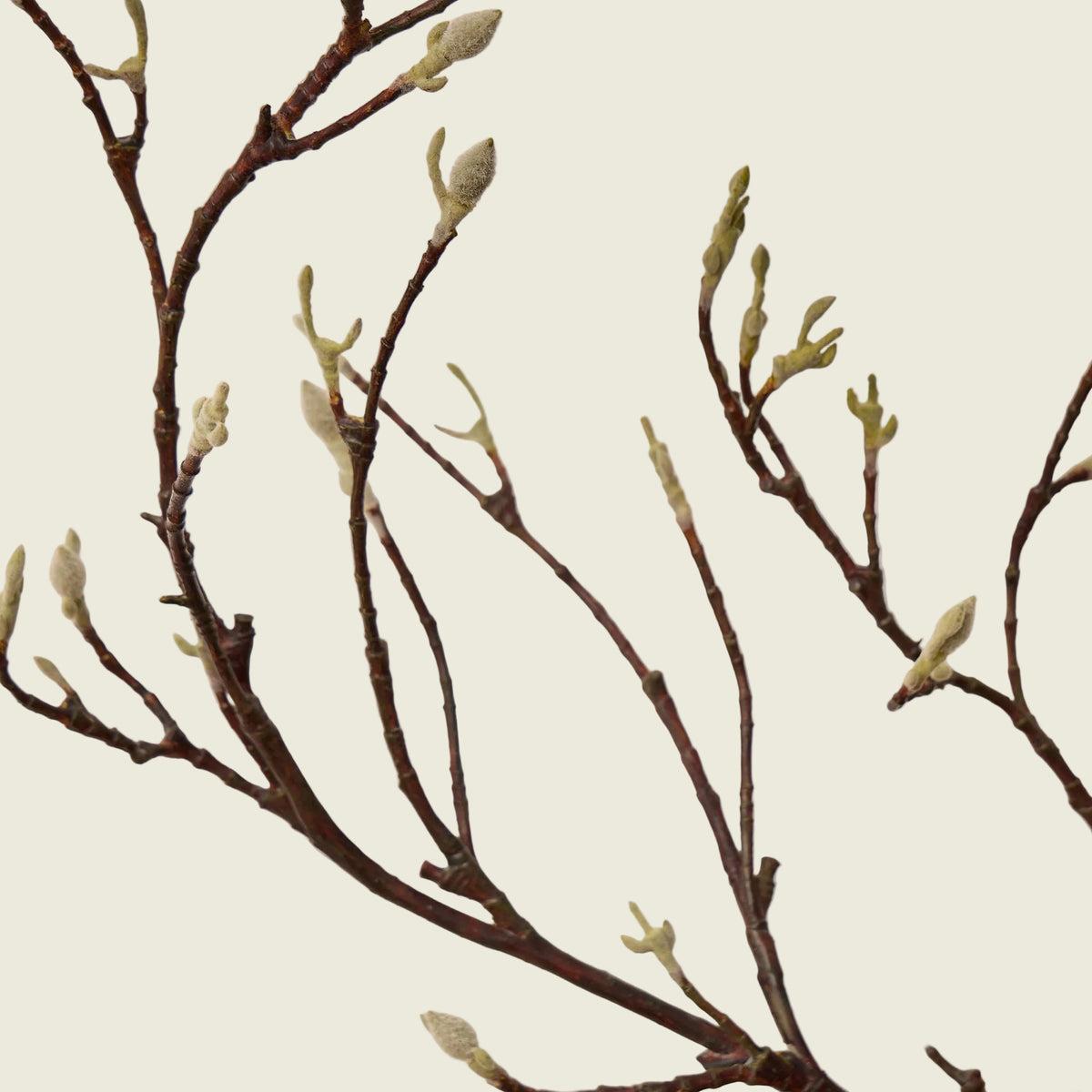 Toffee Pine Branches